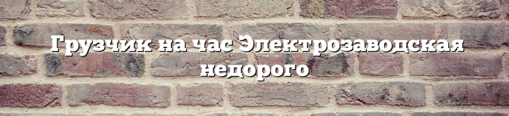 Грузчик на час Электрозаводская недорого