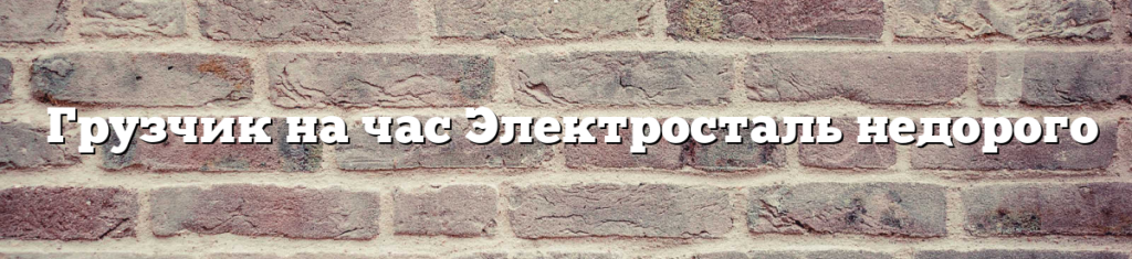 Грузчик на час Электросталь недорого