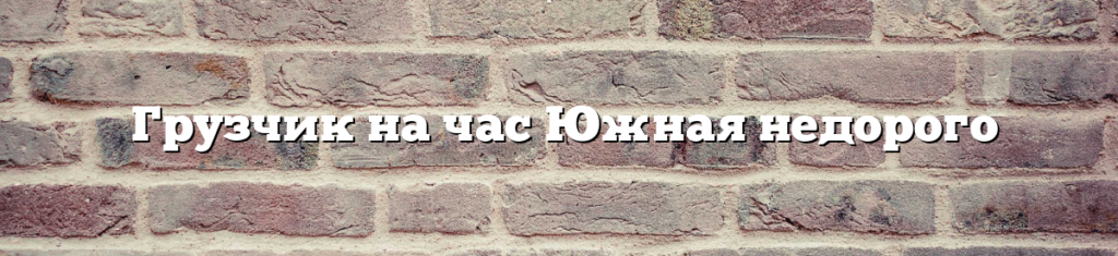 Грузчик на час Южная недорого