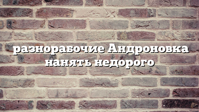 разнорабочие Андроновка нанять недорого